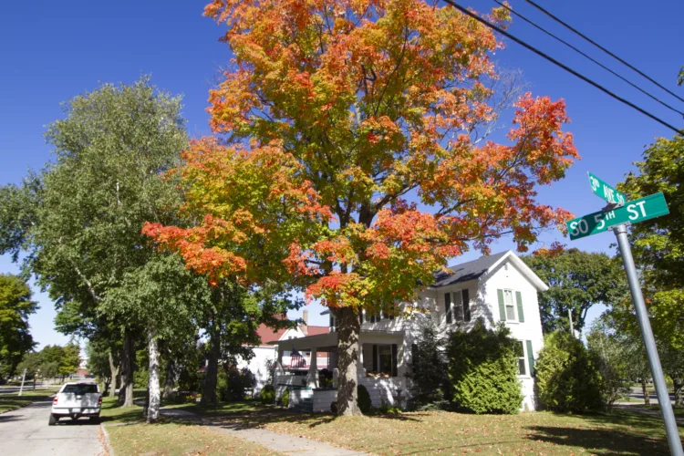 Autumn anticipation accelerates